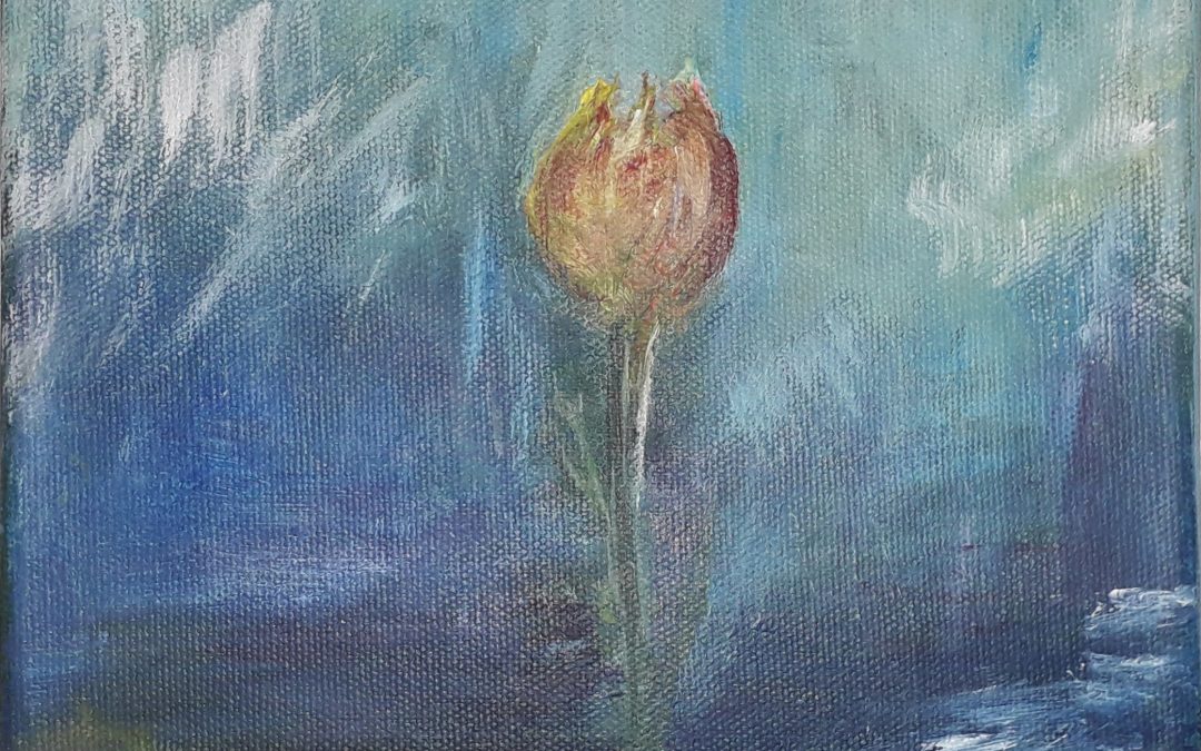 Den yndigste rose – rød