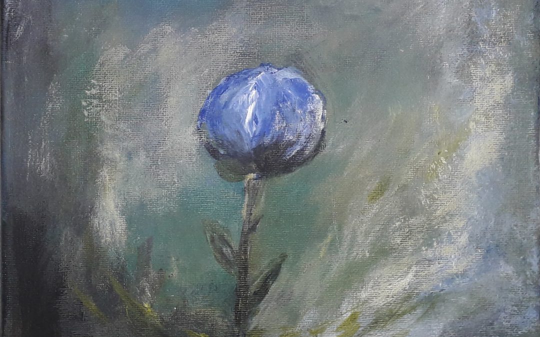 Den yndigste rose – blå