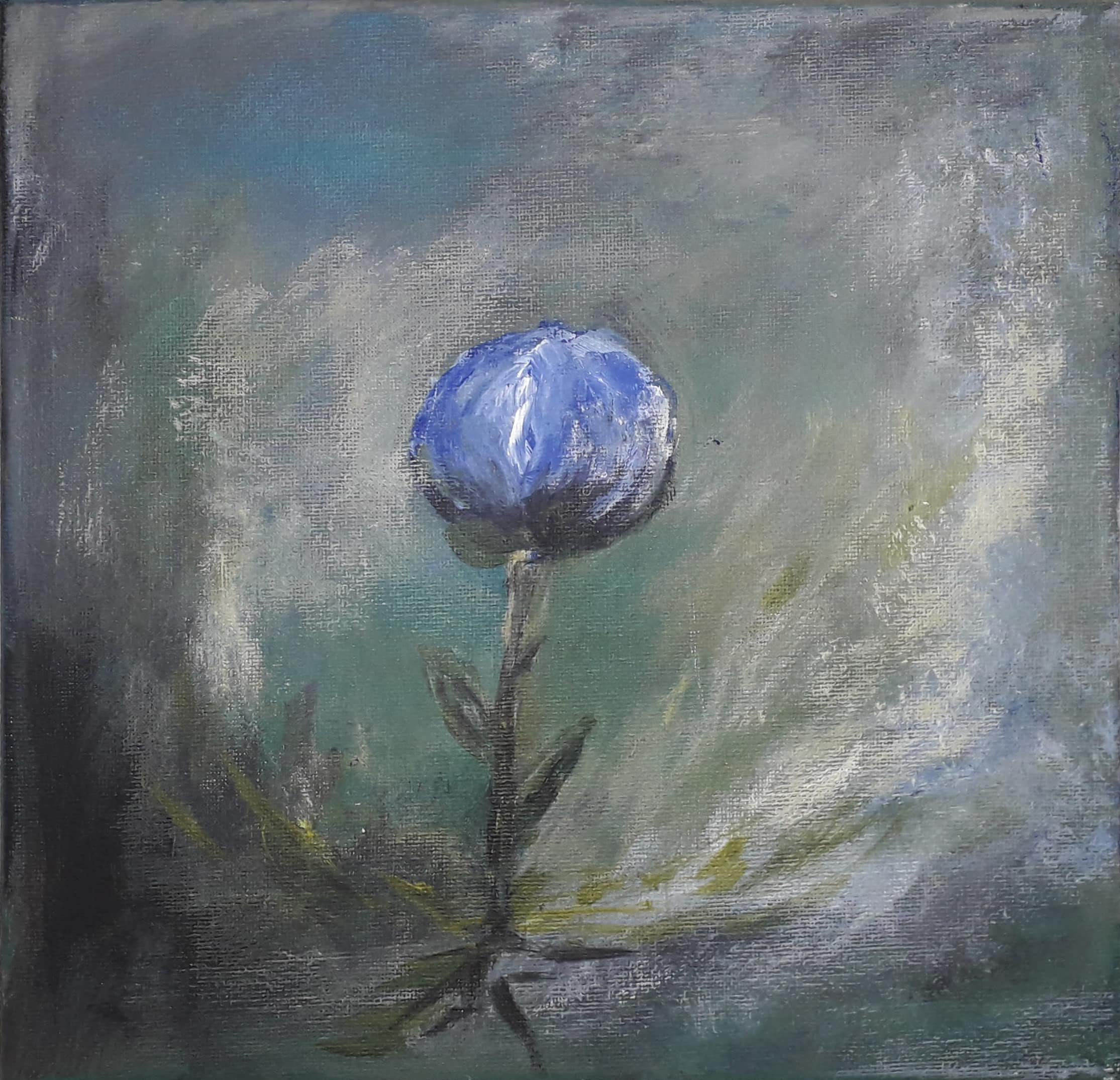 Den yndigste rose – blå